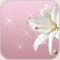 صورة عضوية صمود