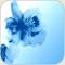 صورة عضوية الصافي787