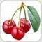 صورة عضوية pink berry