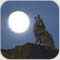 صورة عضوية squ666