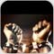 صورة عضوية destiny31183
