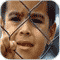 صورة عضوية جلب87